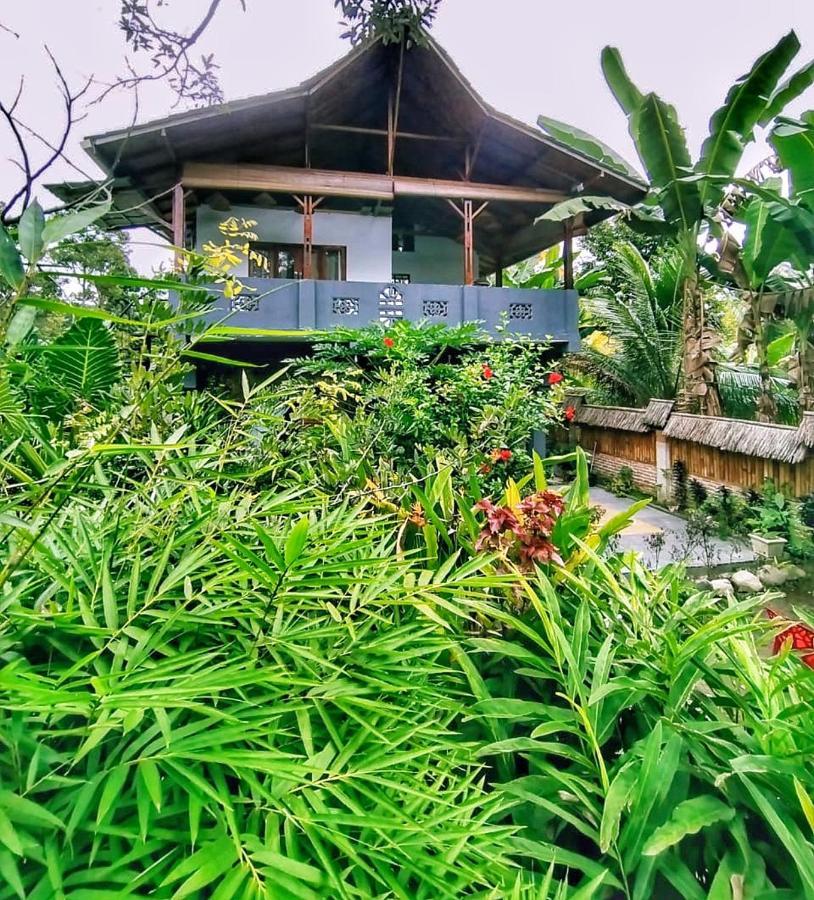 Sumatra Orangutan Discovery Villa Bukit Lawang Kültér fotó