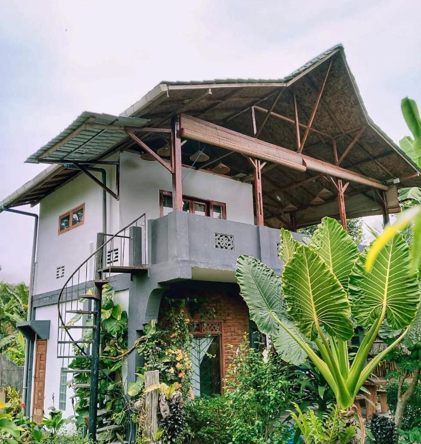 Sumatra Orangutan Discovery Villa Bukit Lawang Kültér fotó