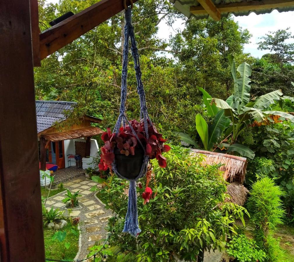 Sumatra Orangutan Discovery Villa Bukit Lawang Kültér fotó