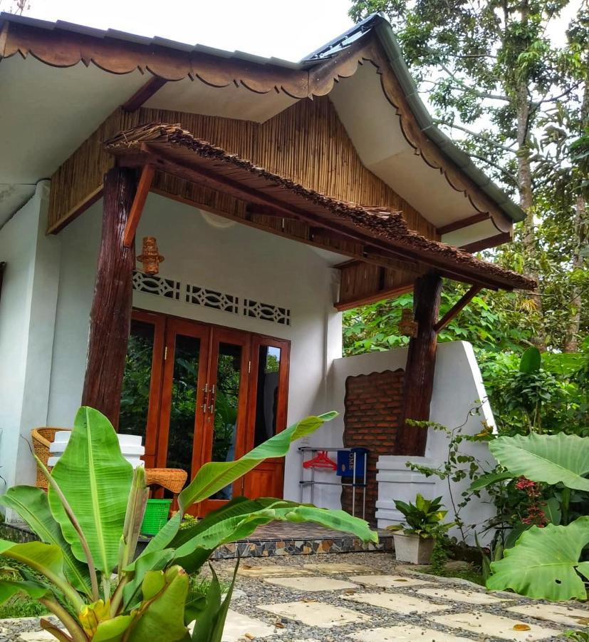 Sumatra Orangutan Discovery Villa Bukit Lawang Kültér fotó