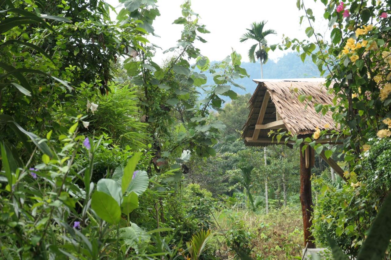 Sumatra Orangutan Discovery Villa Bukit Lawang Kültér fotó